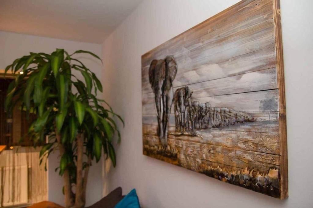 Colonial Touch Apartament Braşov Eksteriør bilde